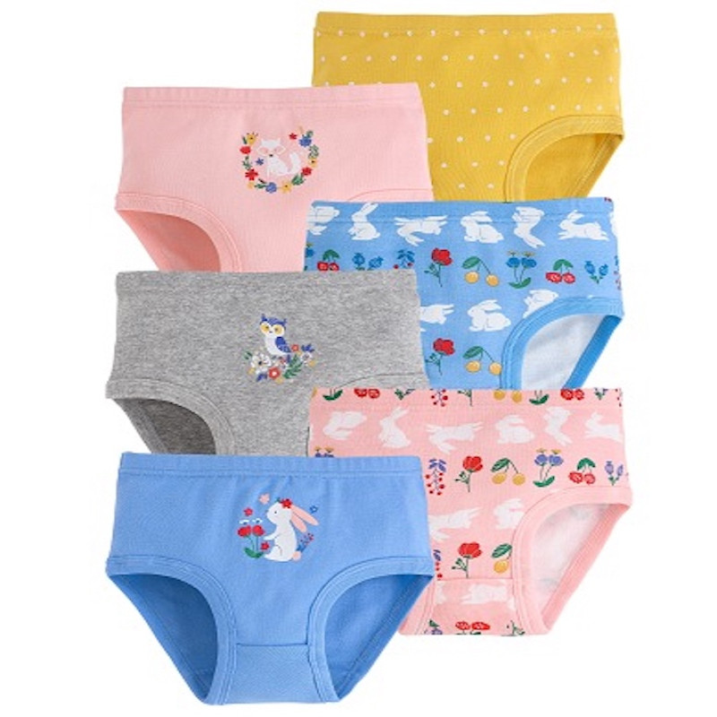 Girls Soft Cotton Pack of 6 Toddler Kids Cool Breathable underwear Briefs Set 2